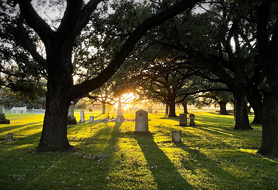 The Cementary at De Zavala Plaza in late afternoon