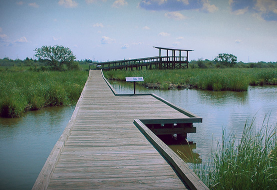 A wooden boardwalk jutting across the marshland at the San Jacinto Monument
