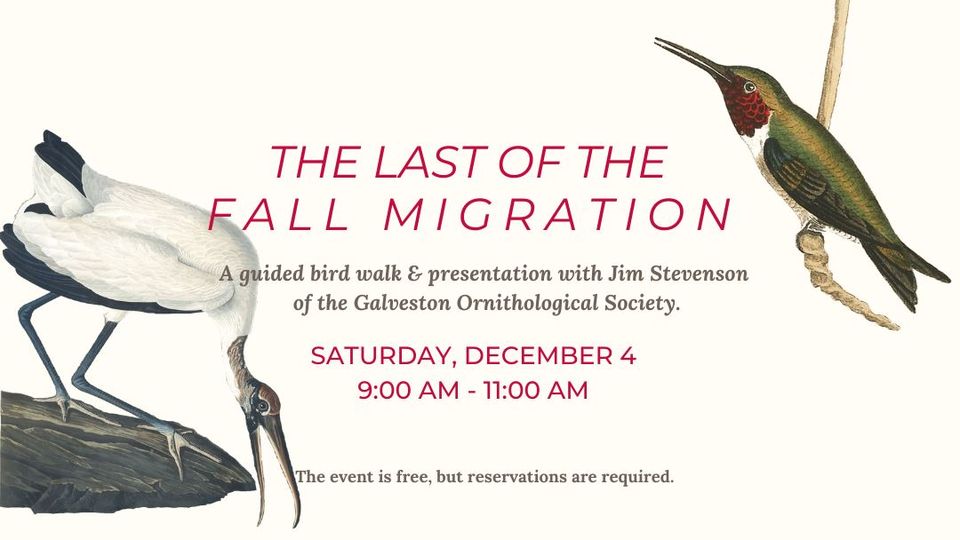 Two birds are on either side of the words The Last of the Fall Migration